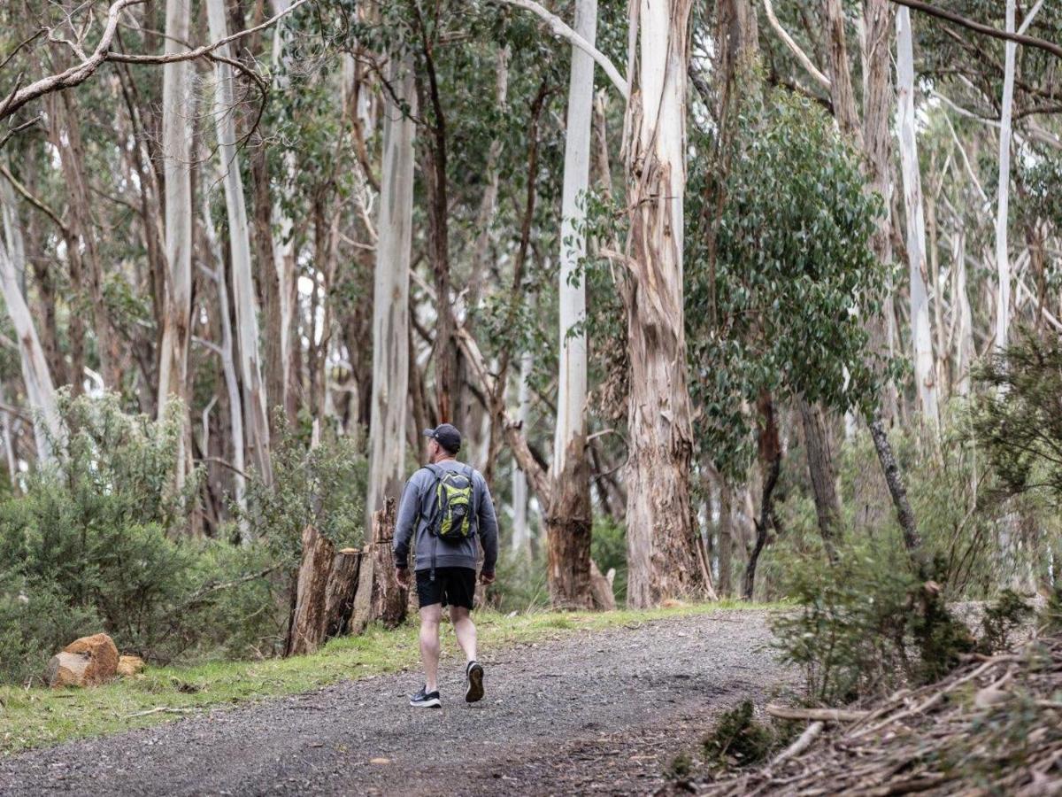 Hanging Rock Views Вуденд Экстерьер фото
