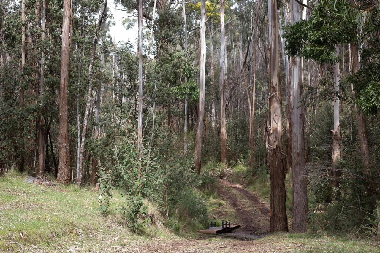 Hanging Rock Views Вуденд Экстерьер фото